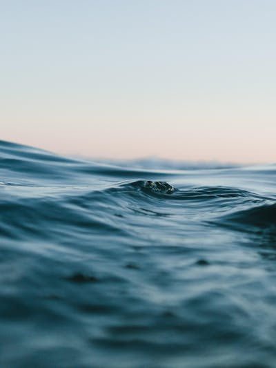 Sea