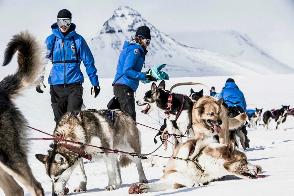 These guys were our heroes! They ran with passion and never stopped! Photo: Nicklas Blom