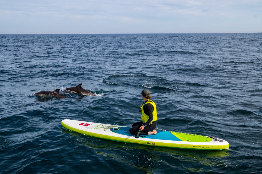 "I never expected to have dolphins come and play around me while on my board - and for almost an hour, it was an incredible experience." Photos: Liam Morrell