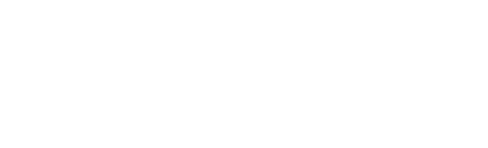 Bravo Logo