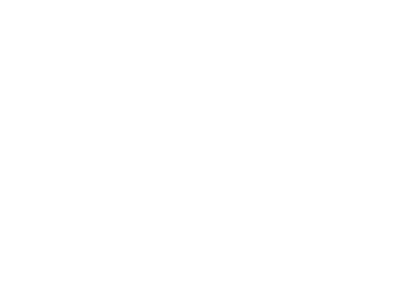 Bravo Logo