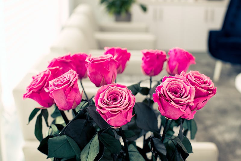 image of a bouquet of roses in the lobby