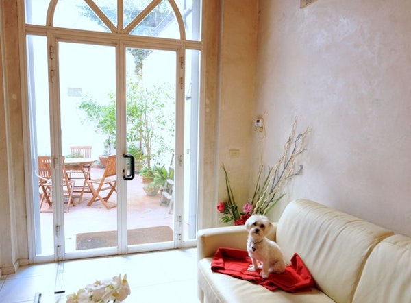 pet friendly accomodation florence