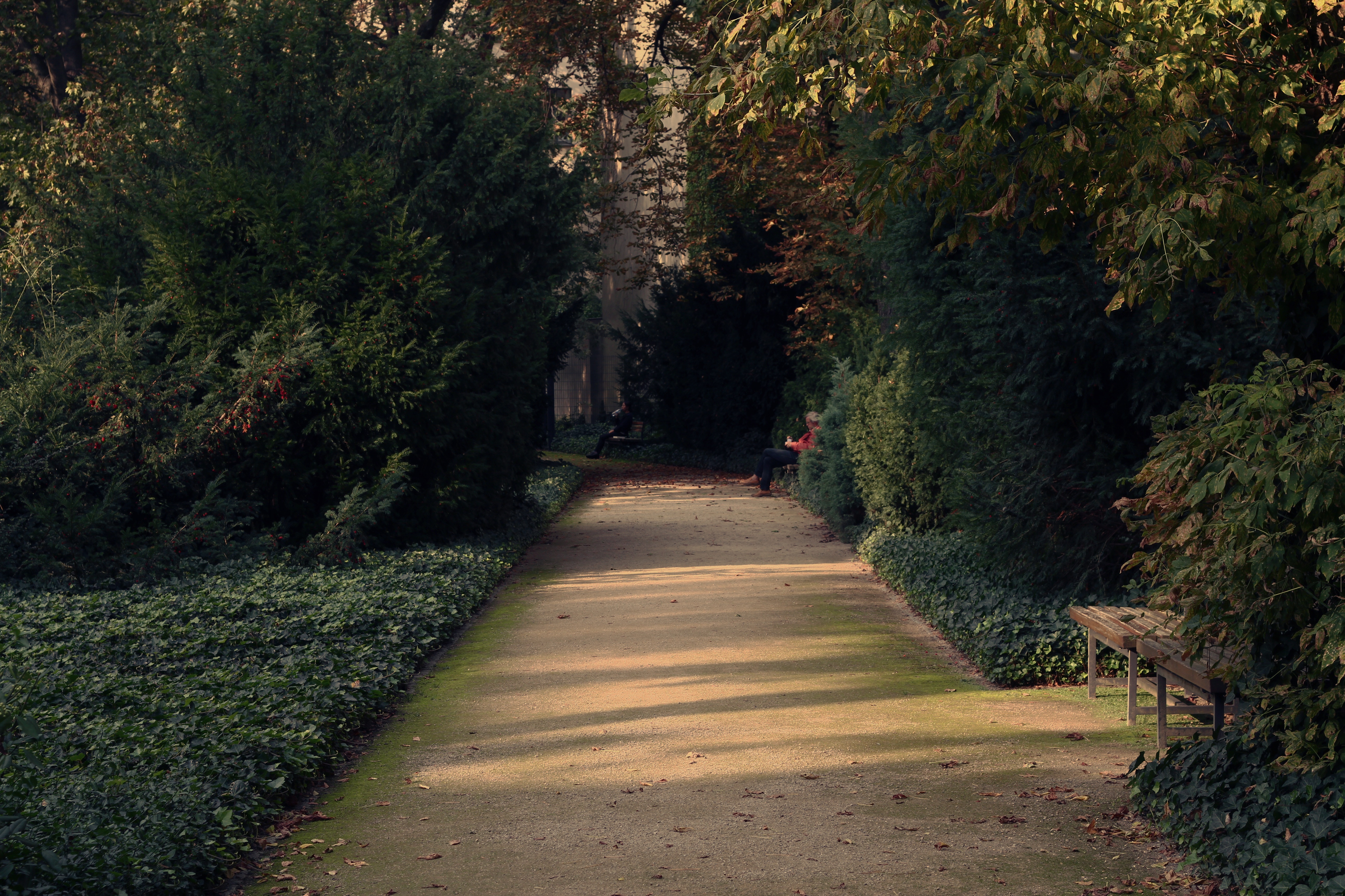 Florence's gardens and parks | Acacia Firenze