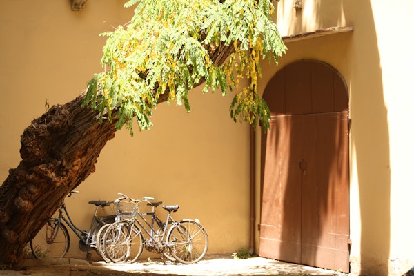 Our courtyard