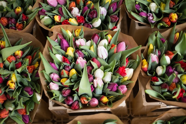 Mercati e colori