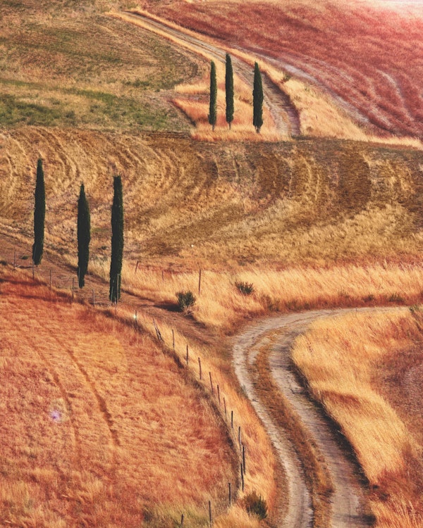 Di che colore è la campagna di Siena?