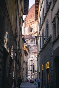 Florence walking tour & Accademia service acacia firenze