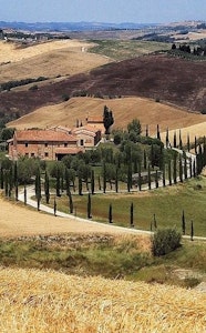 One Day in Chianti with e-bike and wine tasting experience service acacia firenze