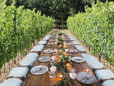 Pranzo o cena in vigna, tra i filari o in giardino service acacia firenze