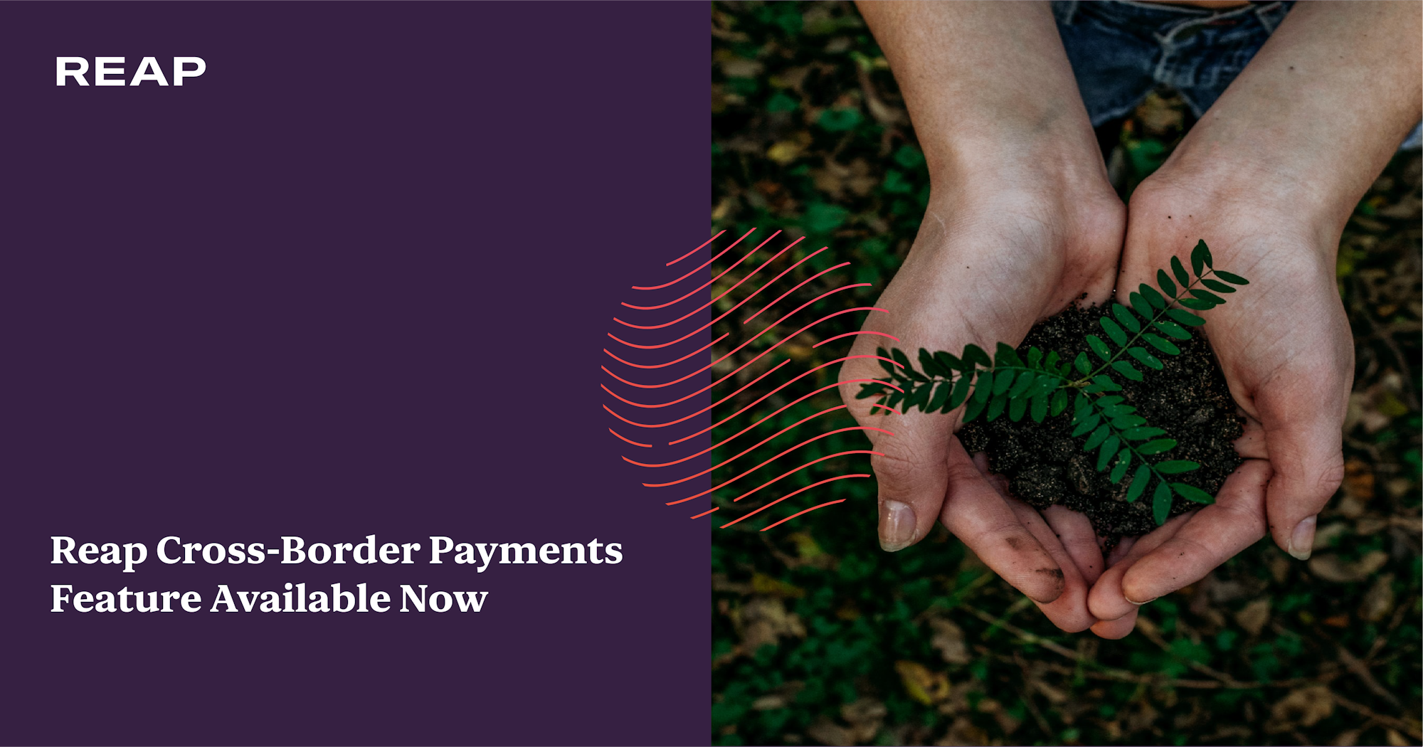 Cover Image for Reap Cross-Border Payments Feature Available Now