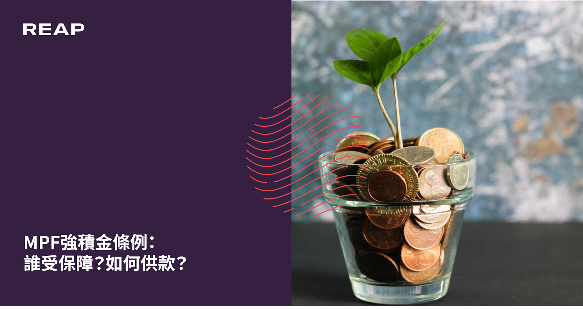 Cover Image for MPF強積金條例：誰受保障？如何供款？上限是多少？