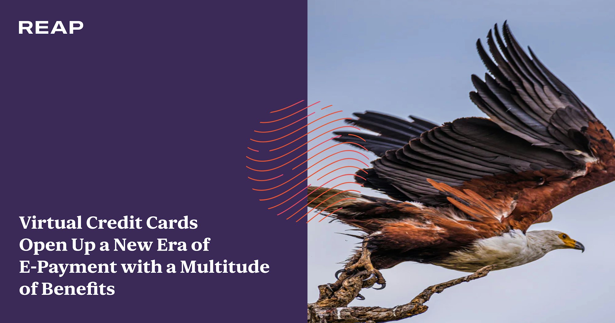 Cover Image for Virtual Credit Cards Open Up a New Era of E-Payment with a Multitude of Benefits