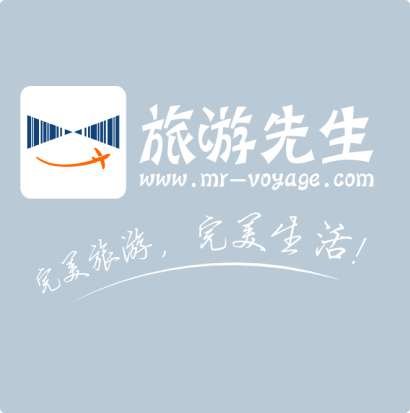 Mr Voyage logo