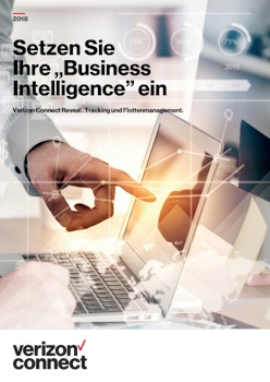 1554817268 debrochurerevealbusinessintelligence