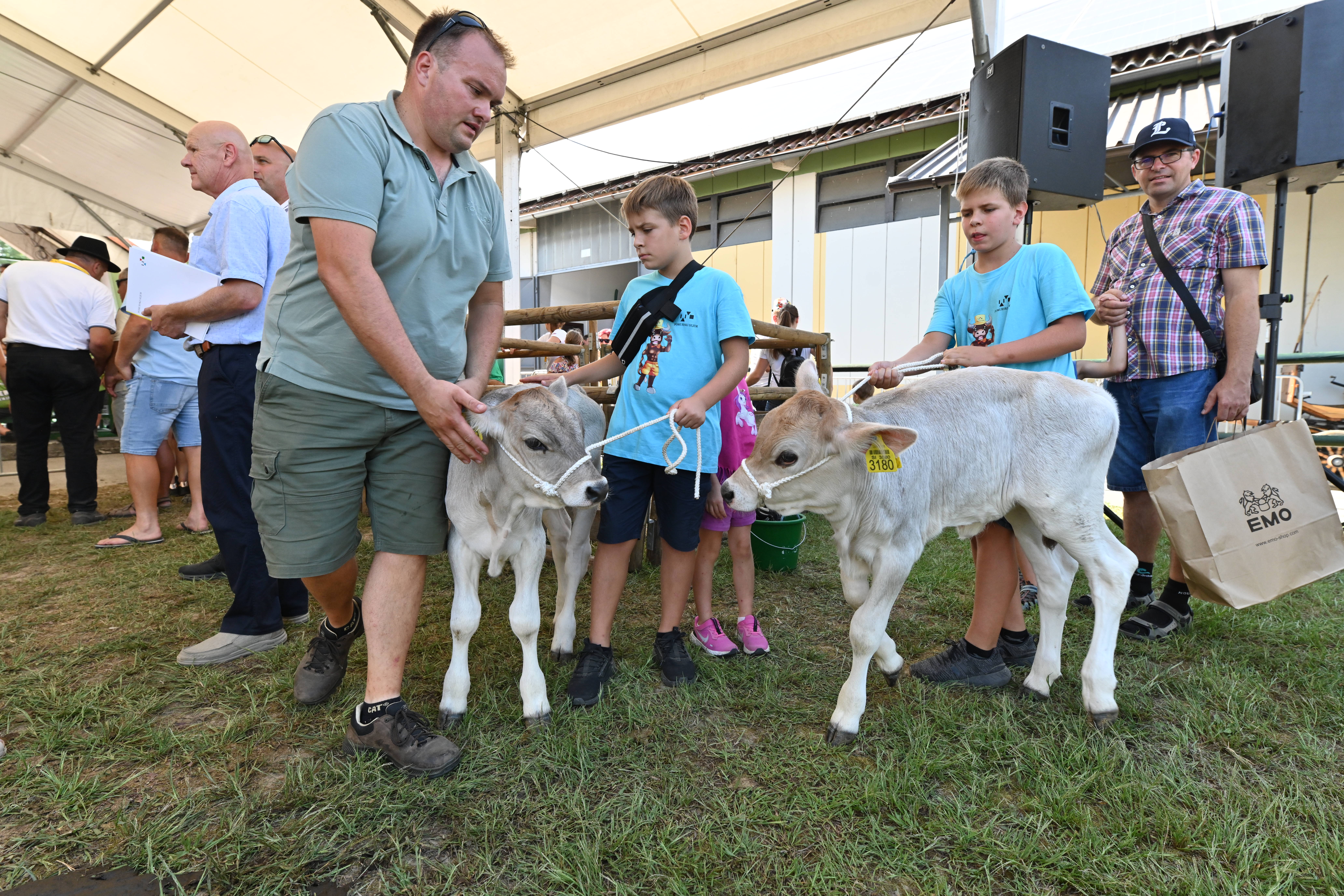 Fotografija: Parade živali na maneži 