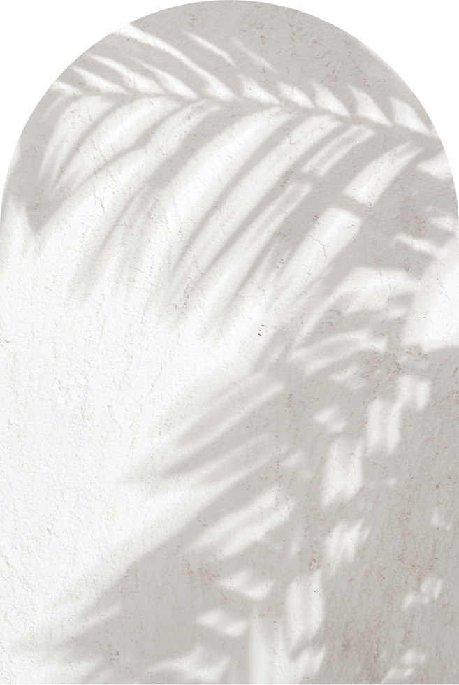 Best Plastic Surgeon Palm Springs Board Certified Plastic Surgeon