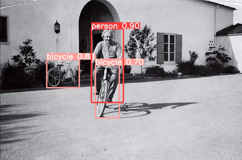Image of Einstein on a bike with object detection by YOLOv5