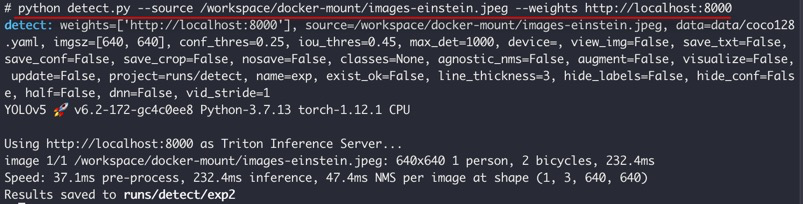 The updated detect.py code making running inferences to Triton Inference Server simpler