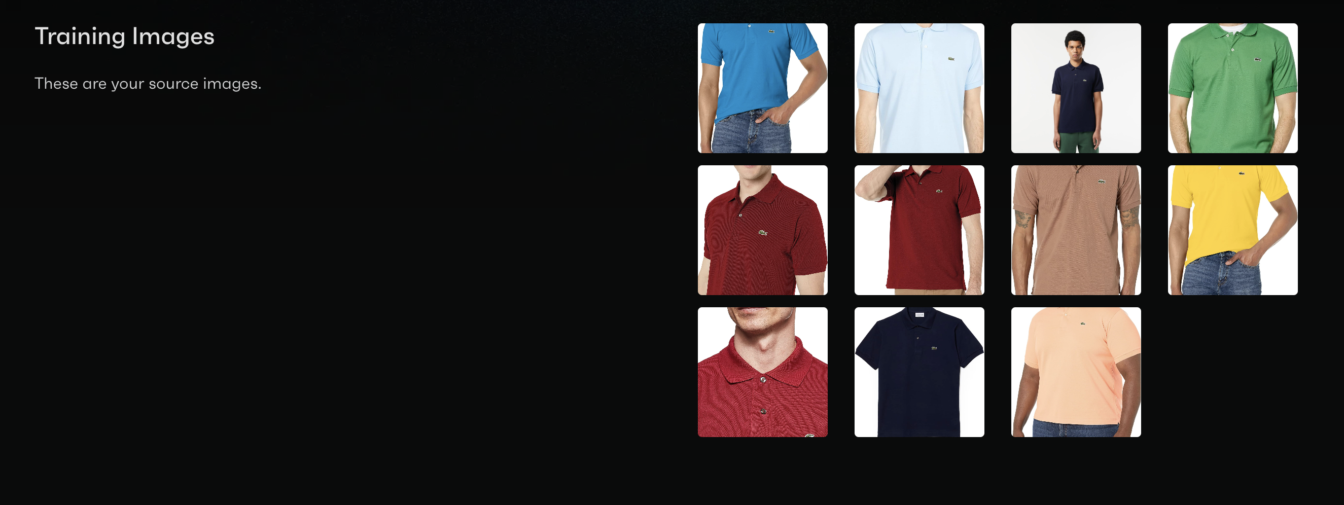 OctoAI web UI showing the creation of a fine-tune for lacoste collared shirts || '