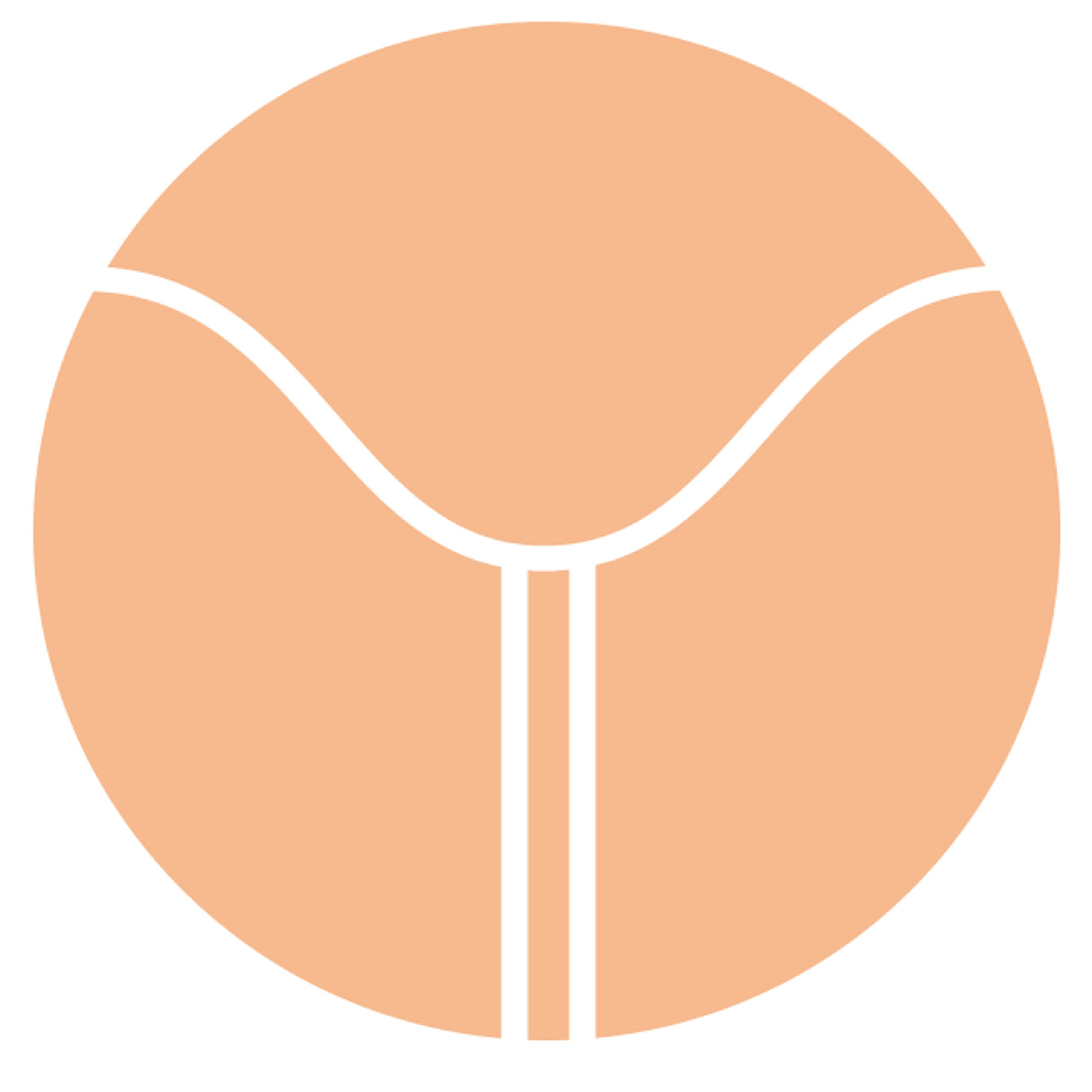 Logo projektu Loono