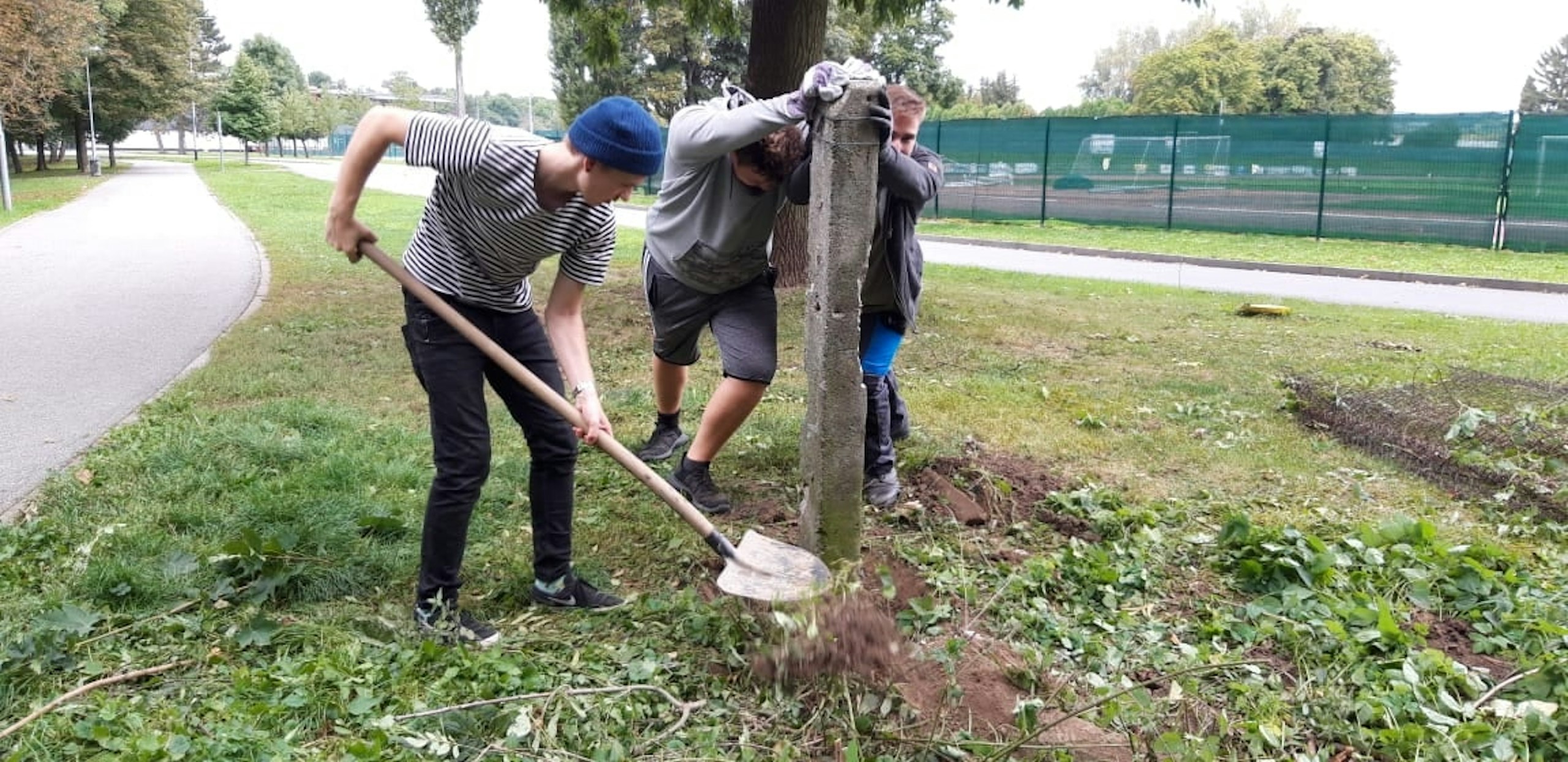 Tři skauti vykopávají ze země sloupek od starého plotu u nového skautského domu ve Vyškově