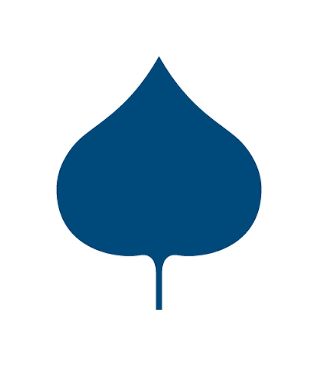 Aspen Institute CE leaf symbol