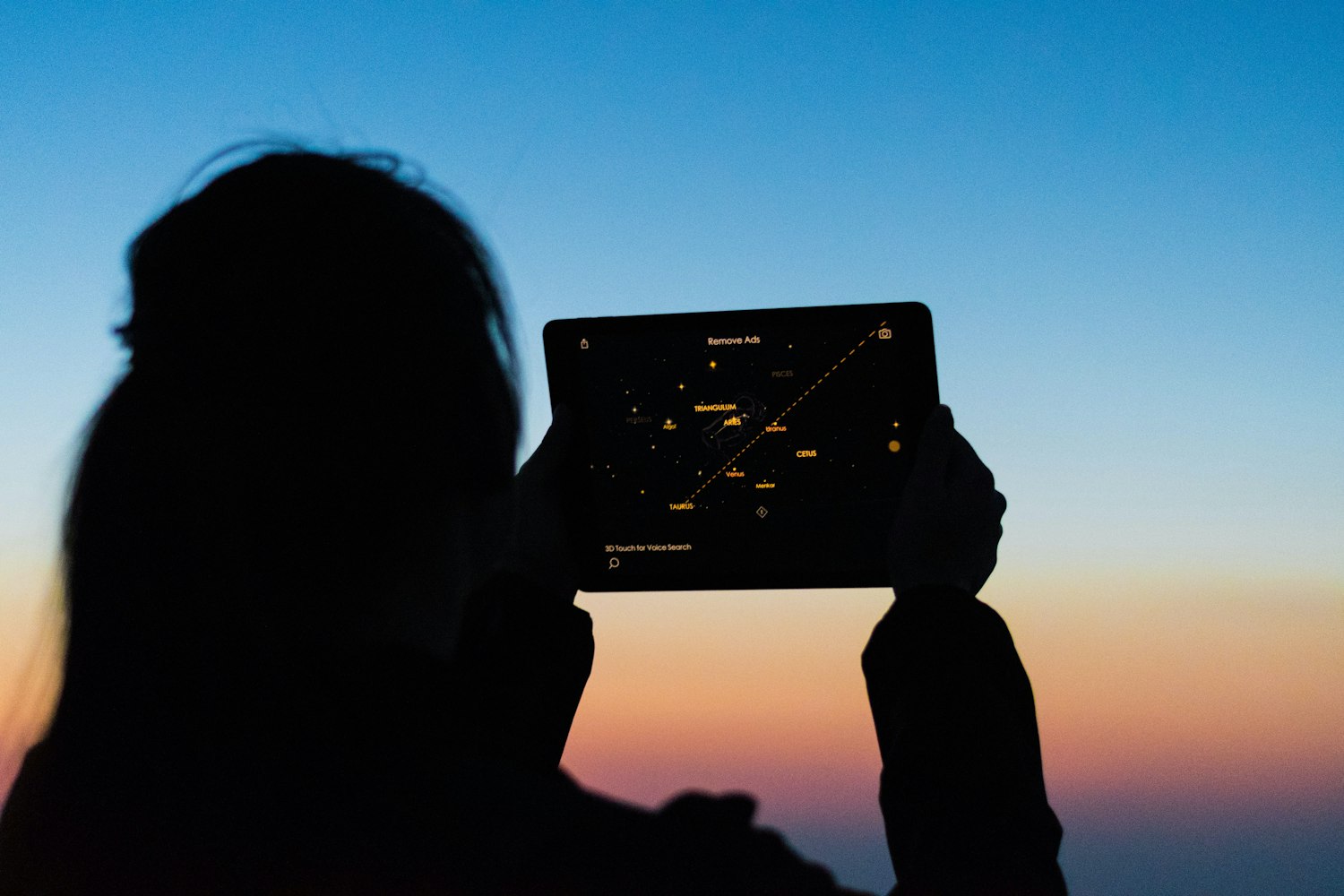 Cover Image for Discover