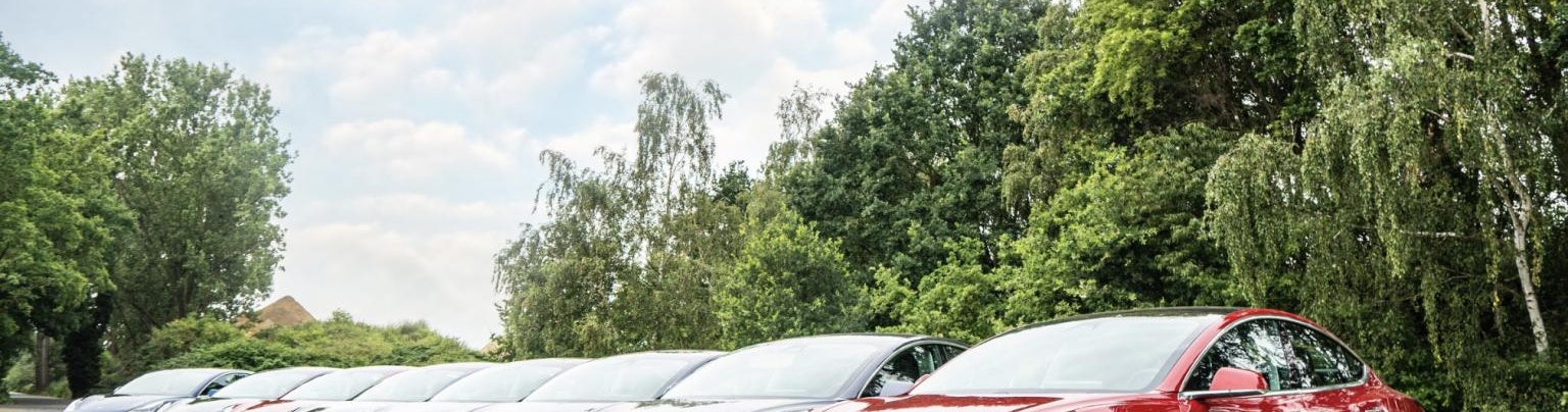 Tesla Fleet