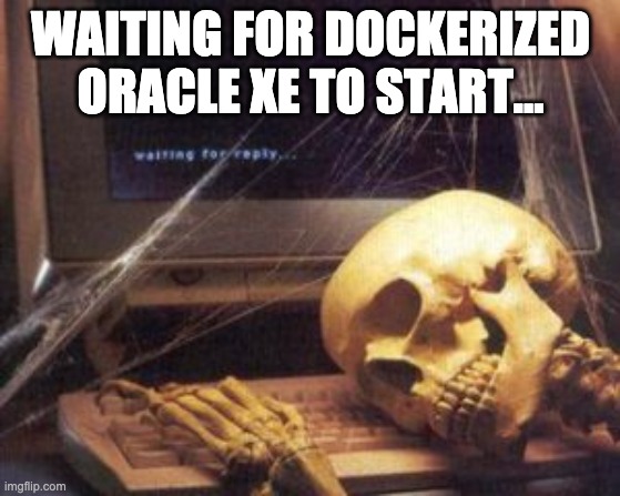 waiting for dockerized oracle xe to start