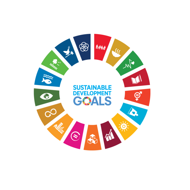 Wheel depicting the 17 sustainable development goals