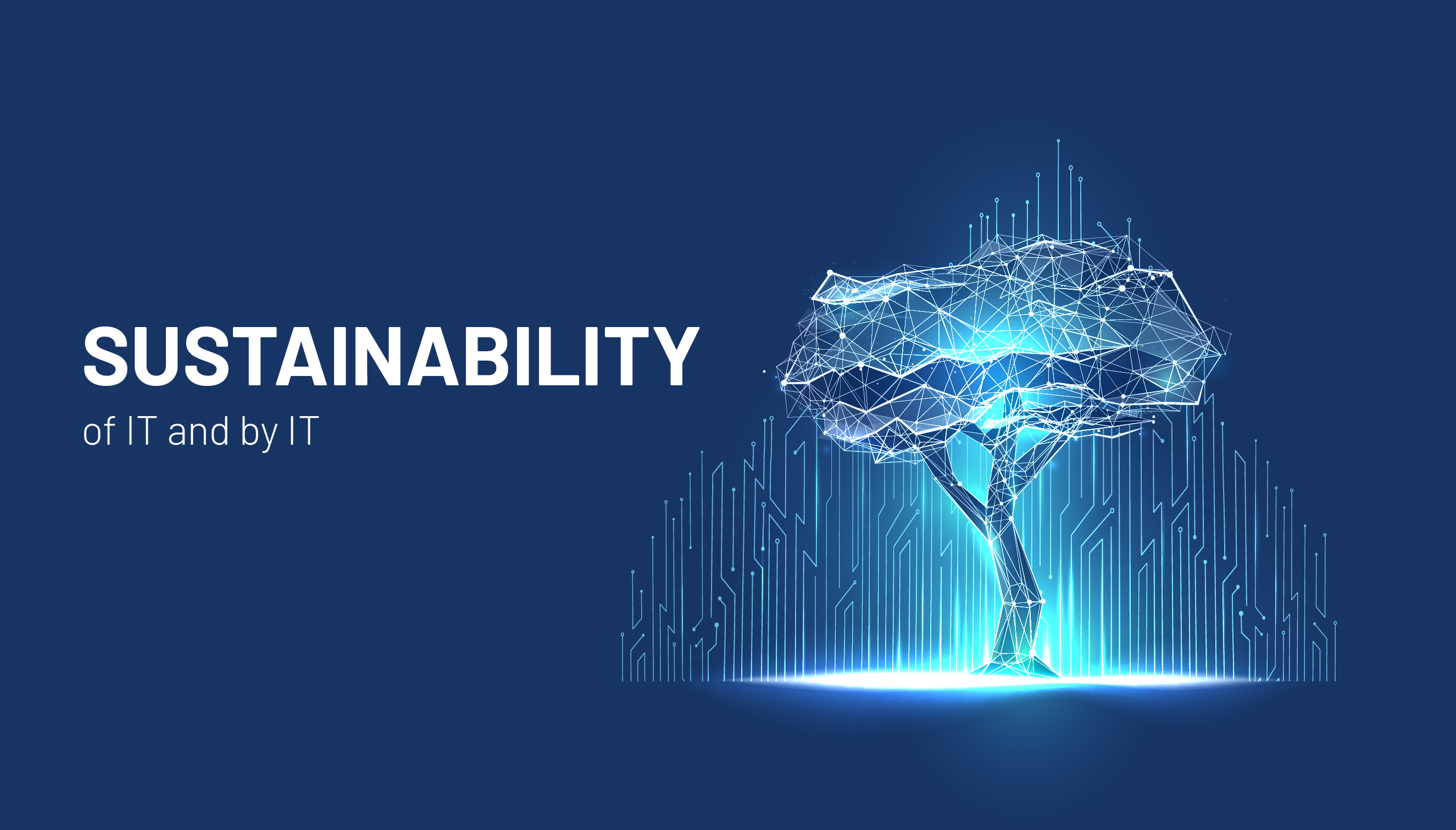 Sustainability of IT and by IT visual