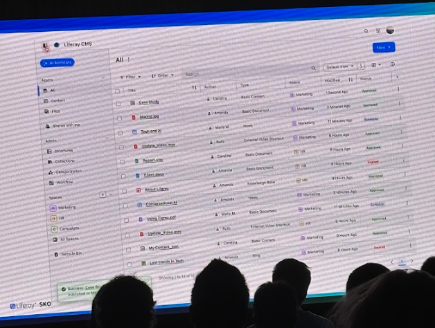 screenshot of Liferay CMS