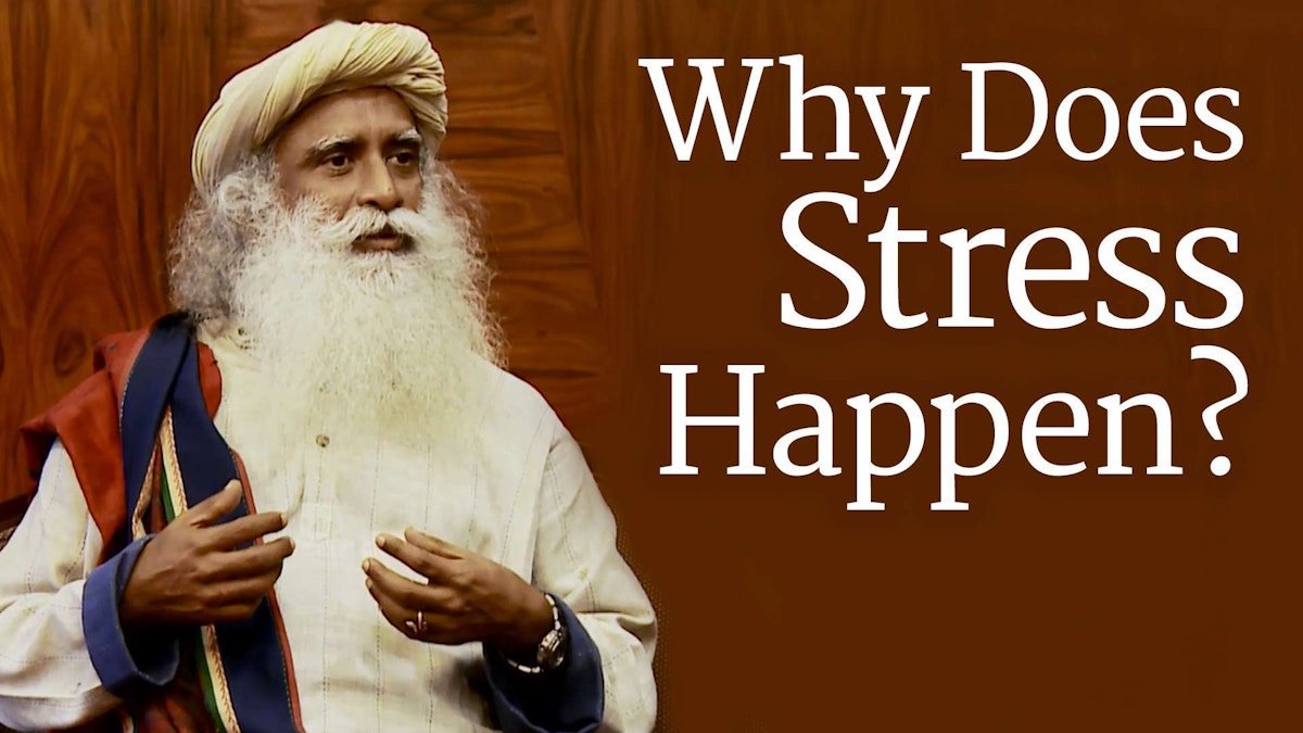 Why Does Stress Happen?