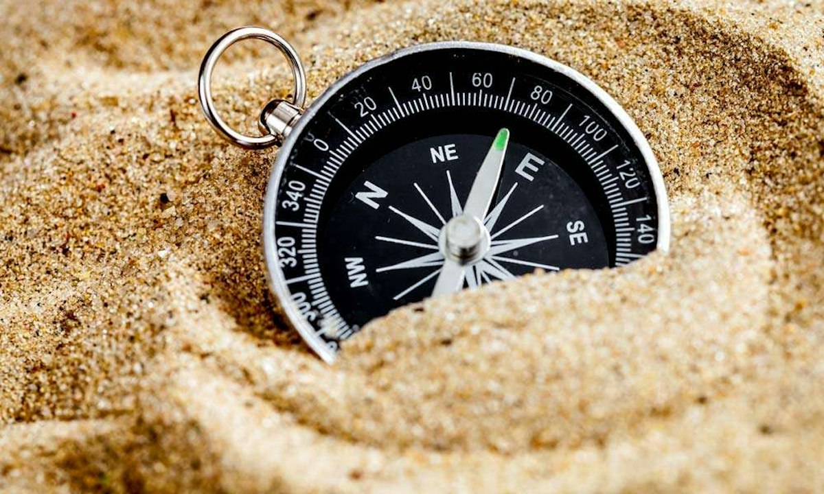 Searching for Life’s Purpose
