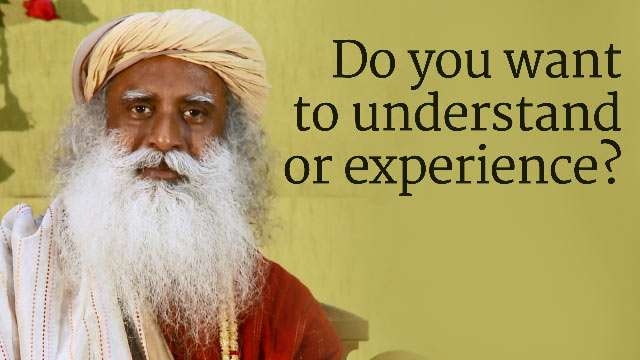 Difference Between Experience and Understanding