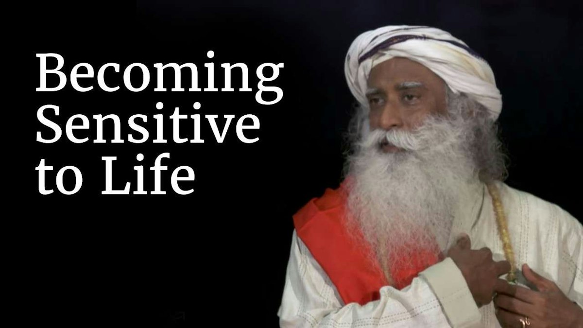 Becoming Sensitive to Life