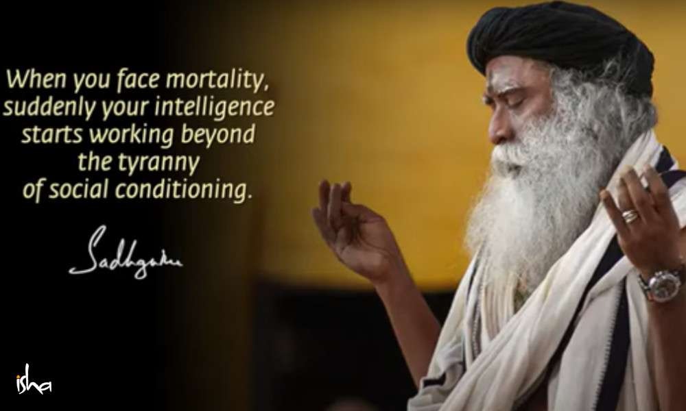 Get off Your BMW to Know Life in a Profound Way