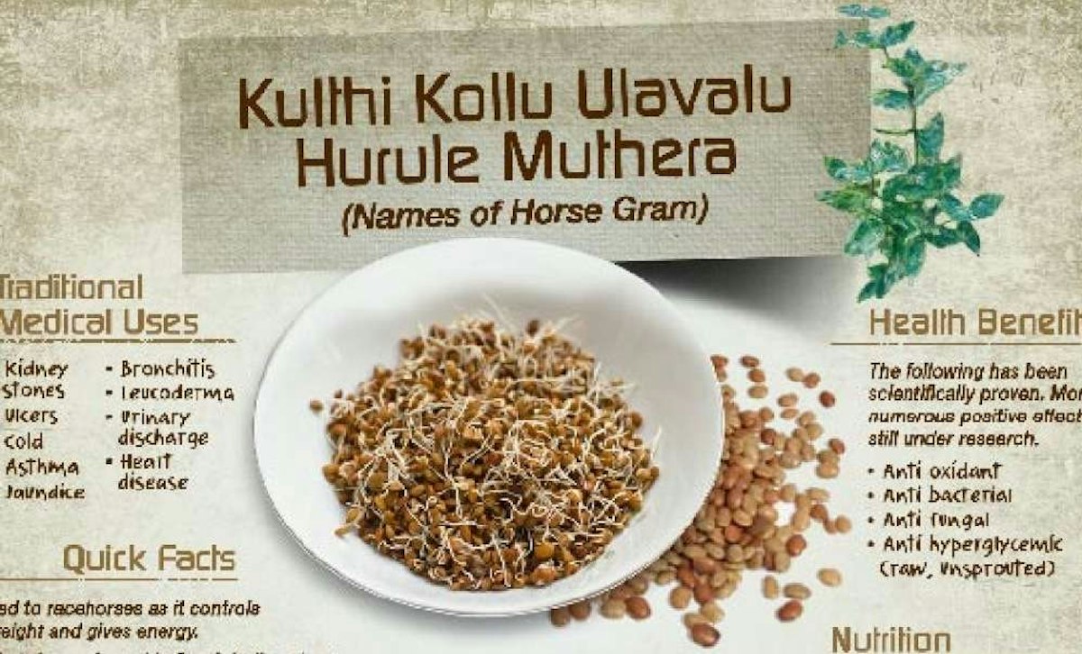 വിസ്മയകരമായ മുതിര