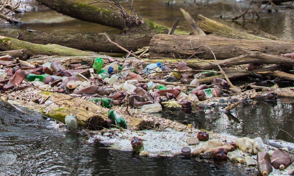Here s How We Can Clean Up River Pollution In India here-s-how-we-can-clean-up-river-pollution-in-india