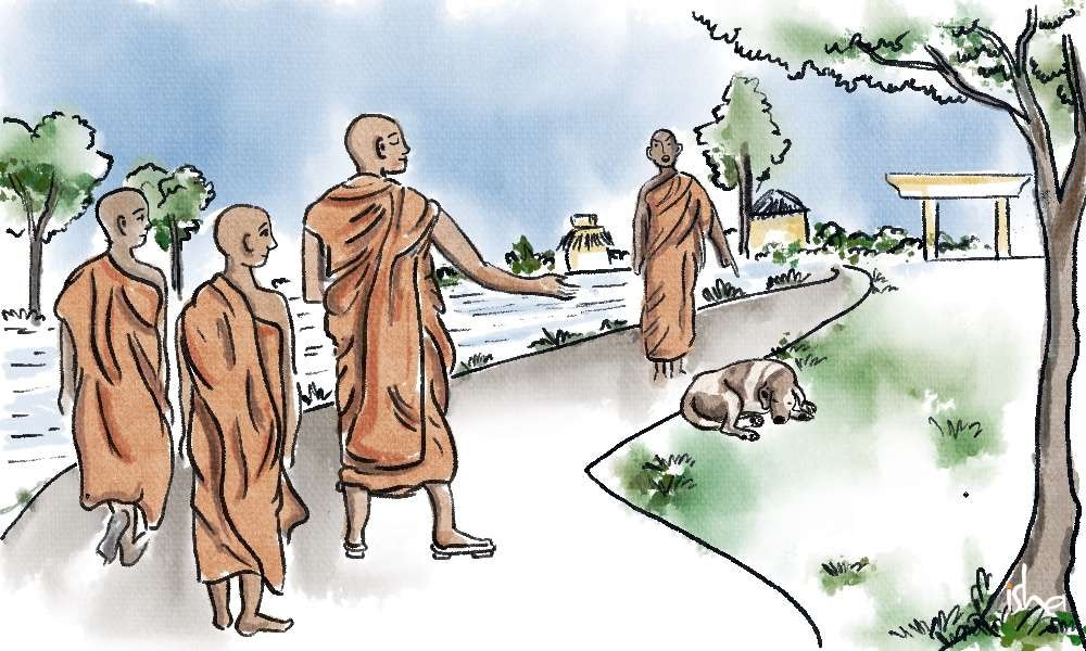 Learning Zen from a Dog