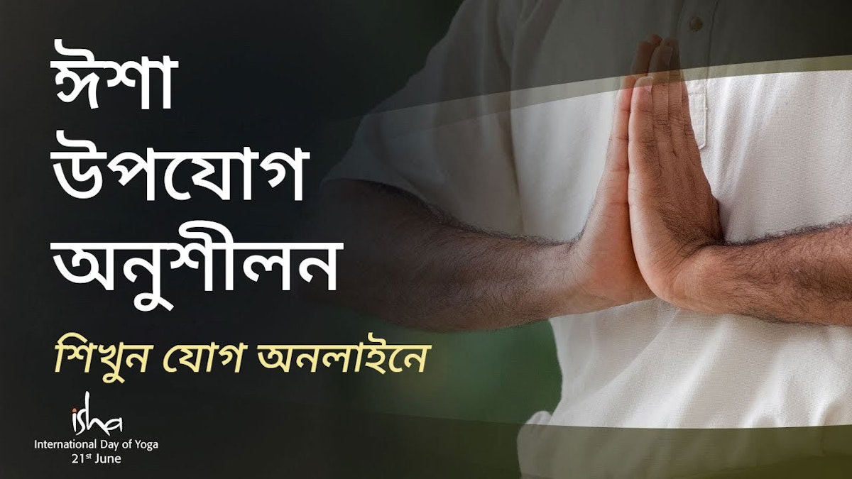 Porno aktrisalar videolar katalogi