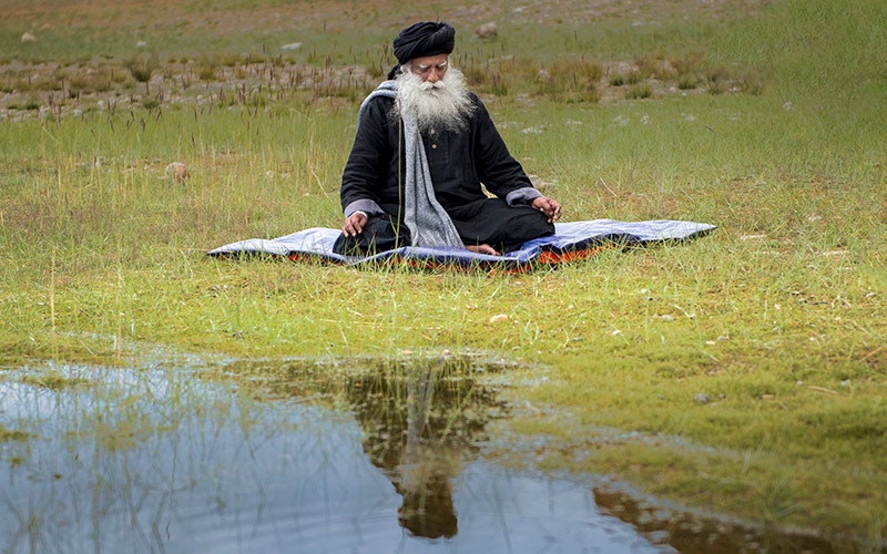 Restfulness Bring Your System To Restfulness And Ease