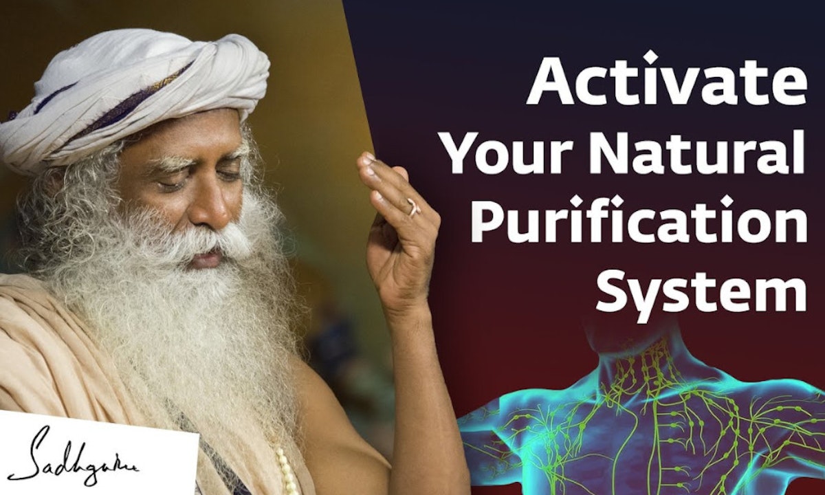 Activate The Body's Natural Purification System