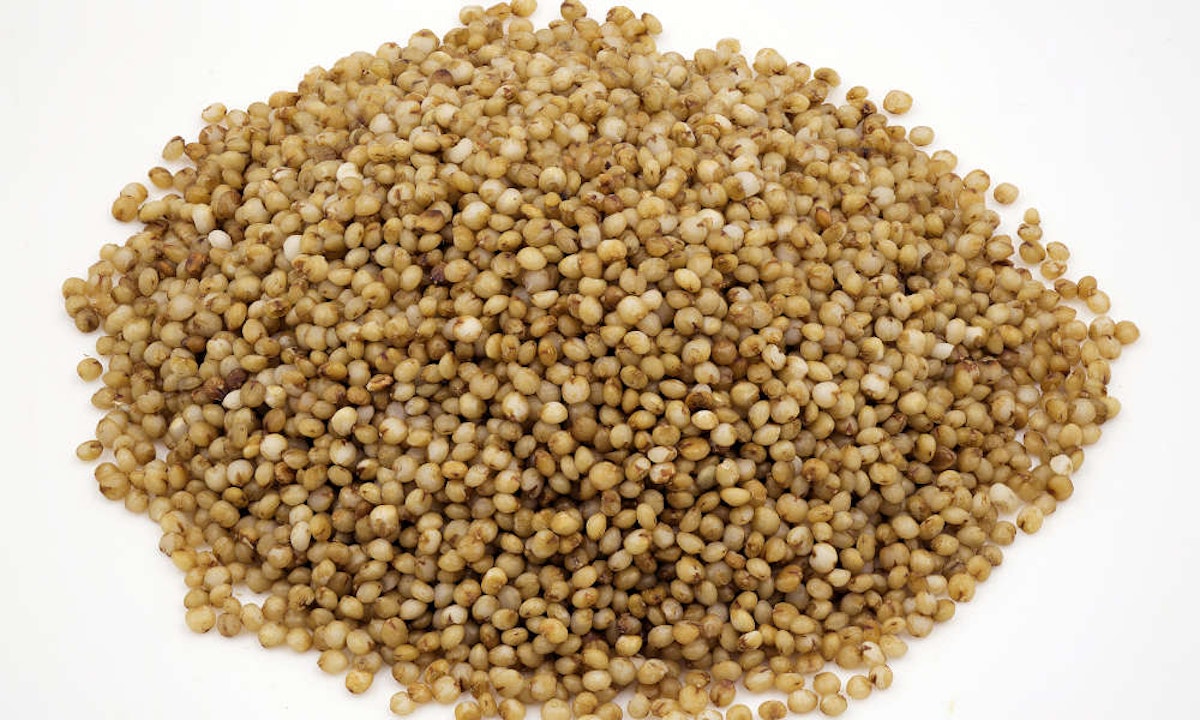 வரகு அரிசி பயன்கள் Varagu Rice Benefits in Tamil