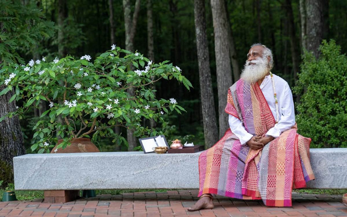 How To Activate Your Entire Body In The Morning Start Your Day Right