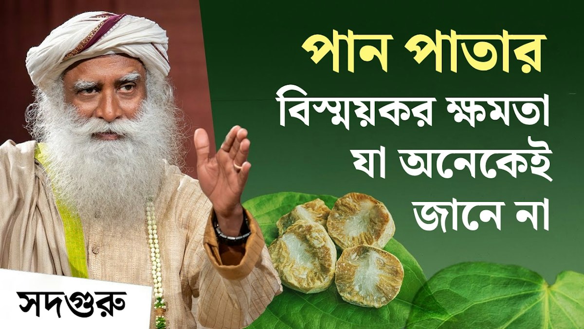 পান পাতার অসাধারণ উপকারিতা - যা অনেকেই জানে না