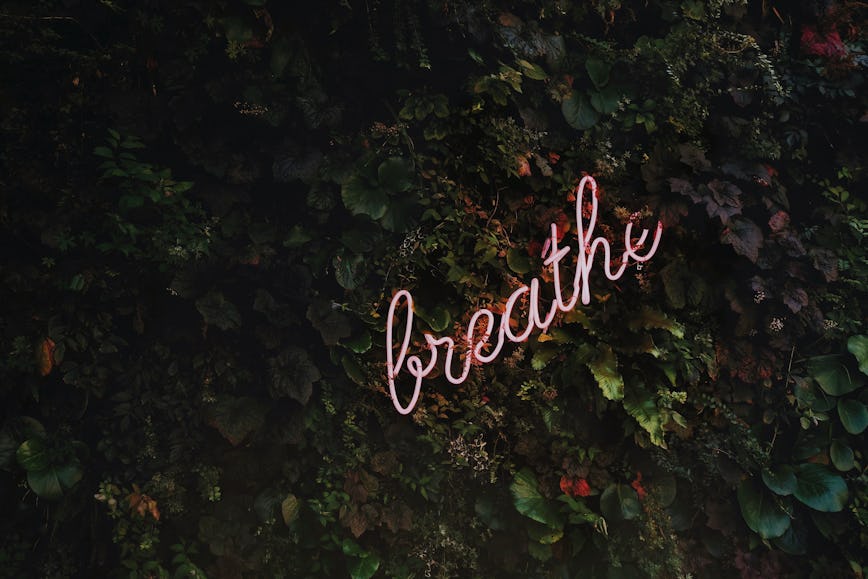 https://www.datocms-assets.com/46385/1650383230-breathe-neon-sign-work-stress.jpg?auto=format&fit=max&q=50&w=868