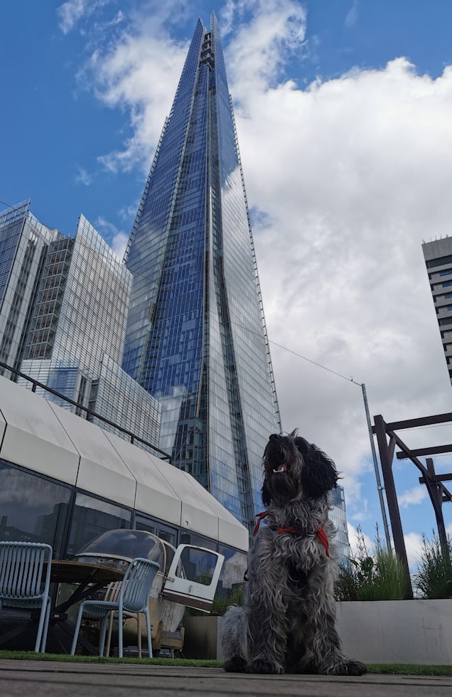 https://www.datocms-assets.com/46385/1690057502-bowie-shard-borough-market.jpg?auto=format&fit=max&q=50&w=636