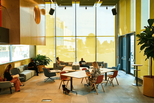 An expansive space with yellow windows, sofas and a communal table.
